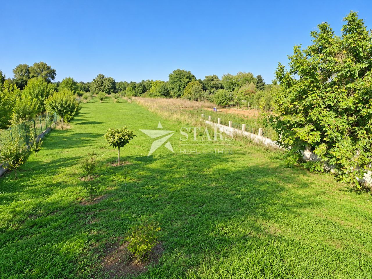 Terreno u Marčani, 3025m², slika 5