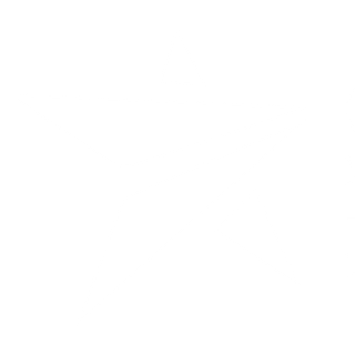 Logo agencije Stars Real Estate