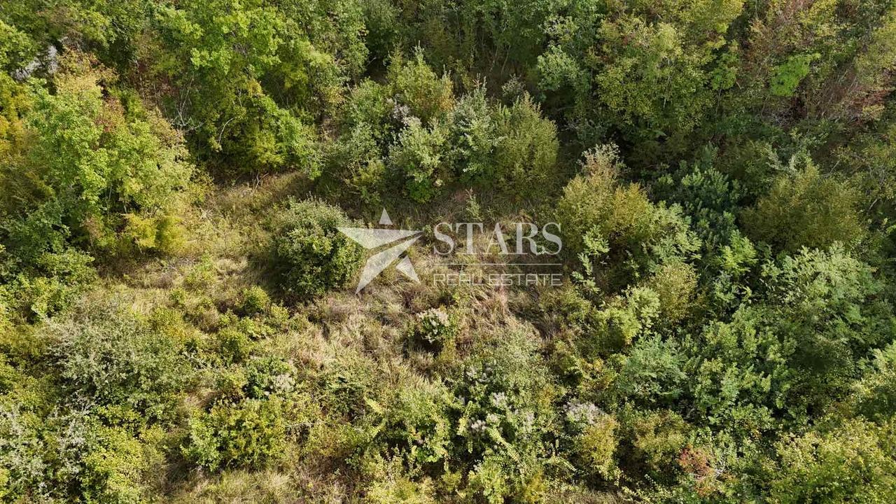 Zemljište u Pićanu, 1554m², slika 2