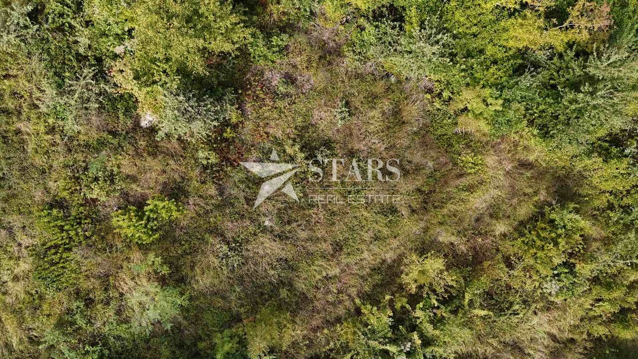 Zemljište u Pićanu, 1554m², slika 3