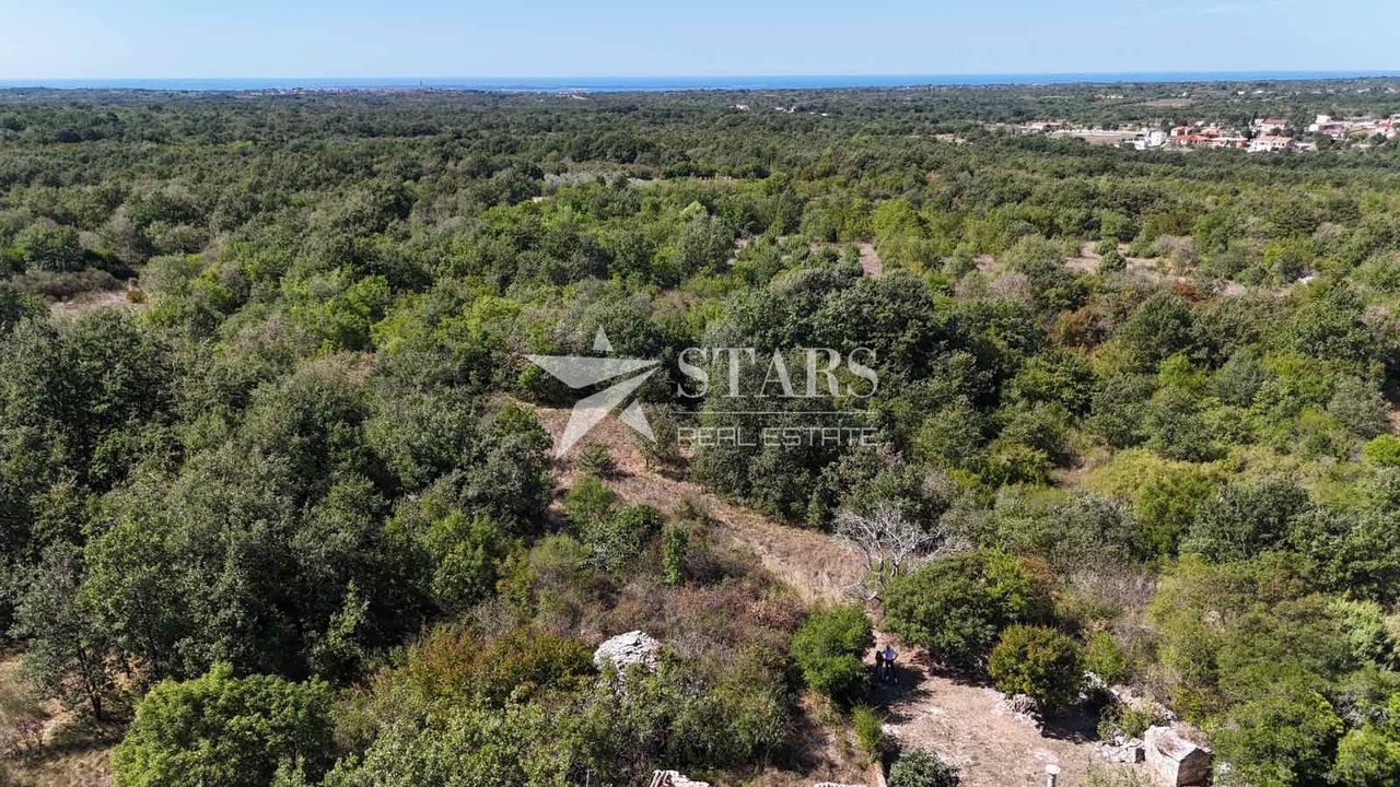 Zemljište u Vodnjanu, 36000m², slika 4