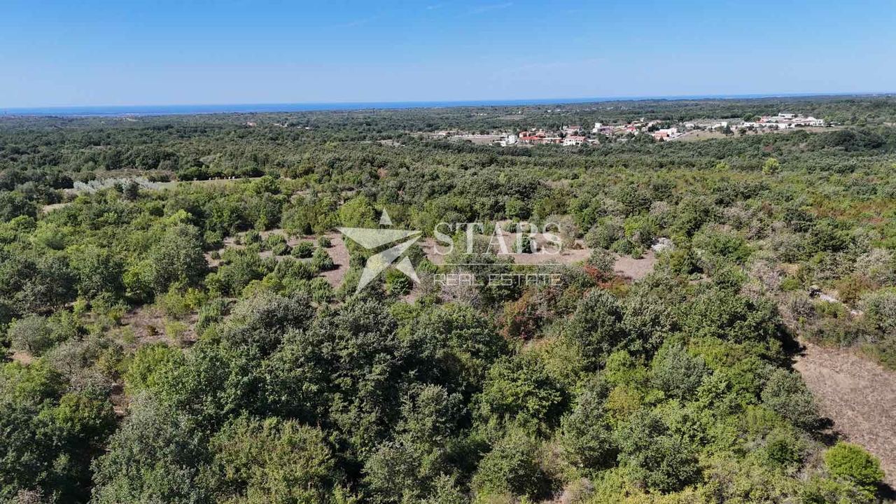 Zemljište u Vodnjanu, 36000m², slika 5