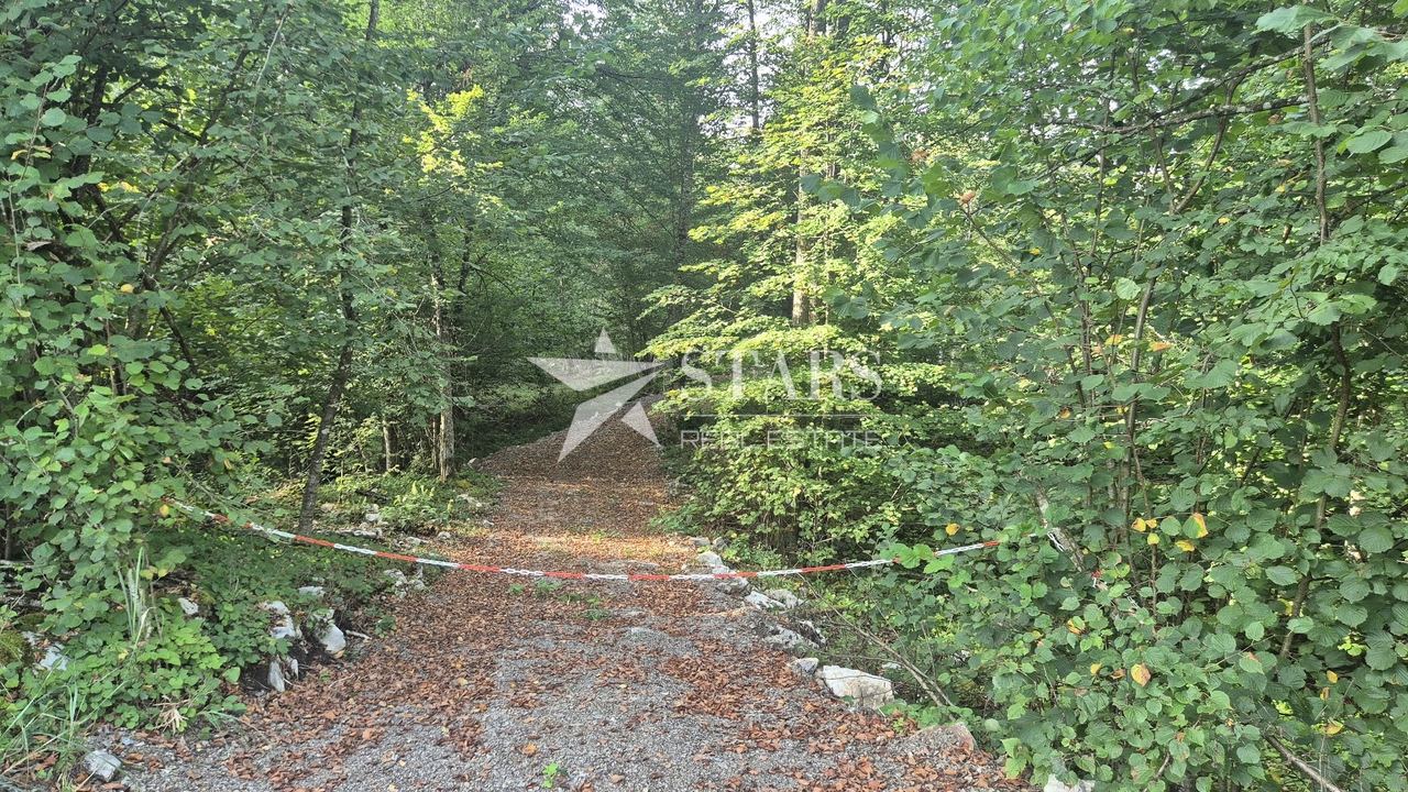 Zemljište u Vrbovsku, 8995m², slika 4
