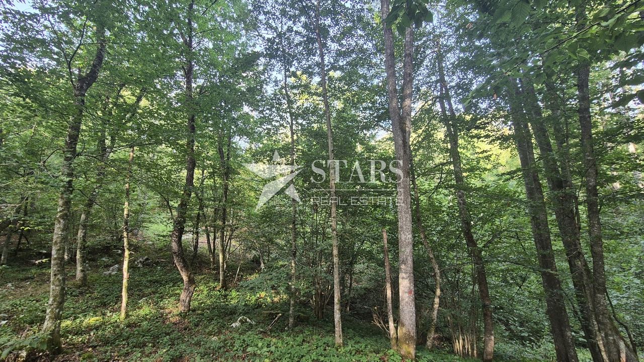 Zemljište u Vrbovsku, 8995m², slika 5