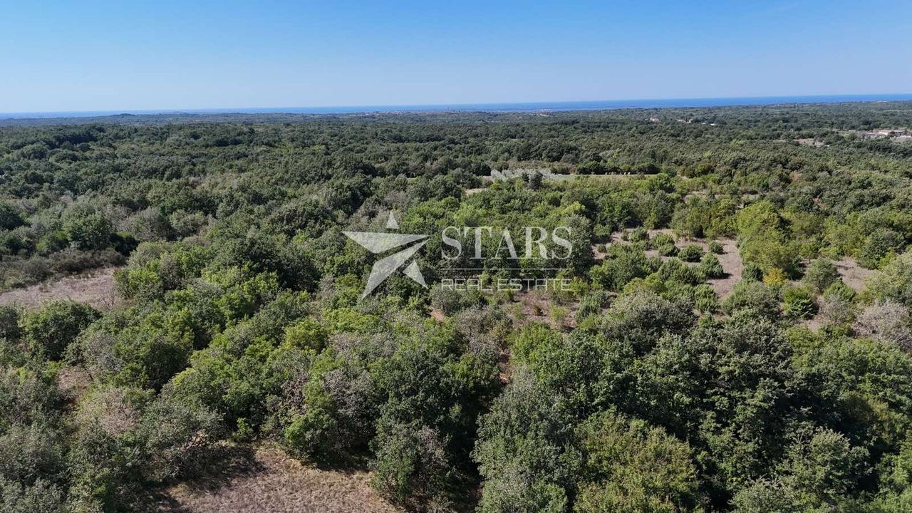 Land u Vodnjanu, 32686m², slika 4