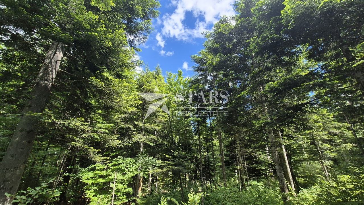 Land u Vrbovsku, 31176m²