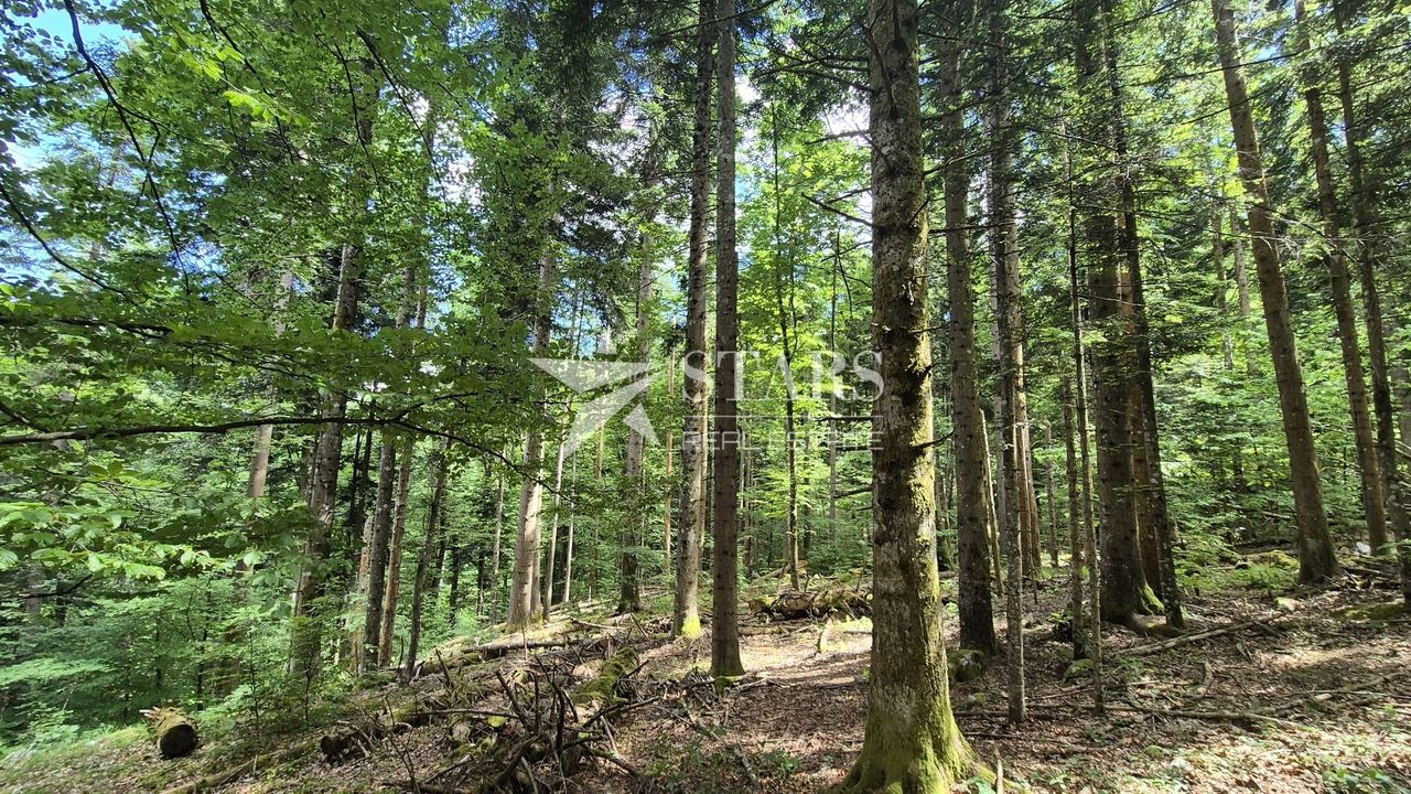 Grundstück u Vrbovsku, 31176m², slika 3