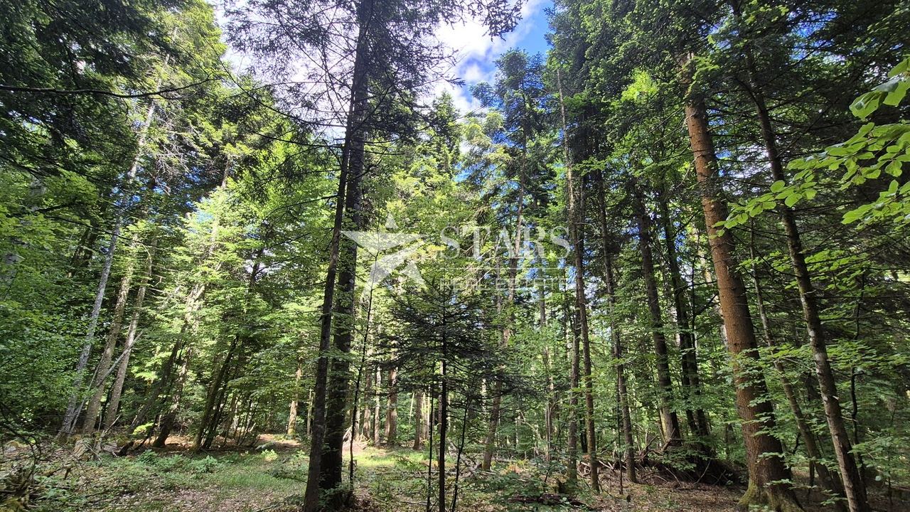 Grundstück u Vrbovsku, 31176m², slika 4