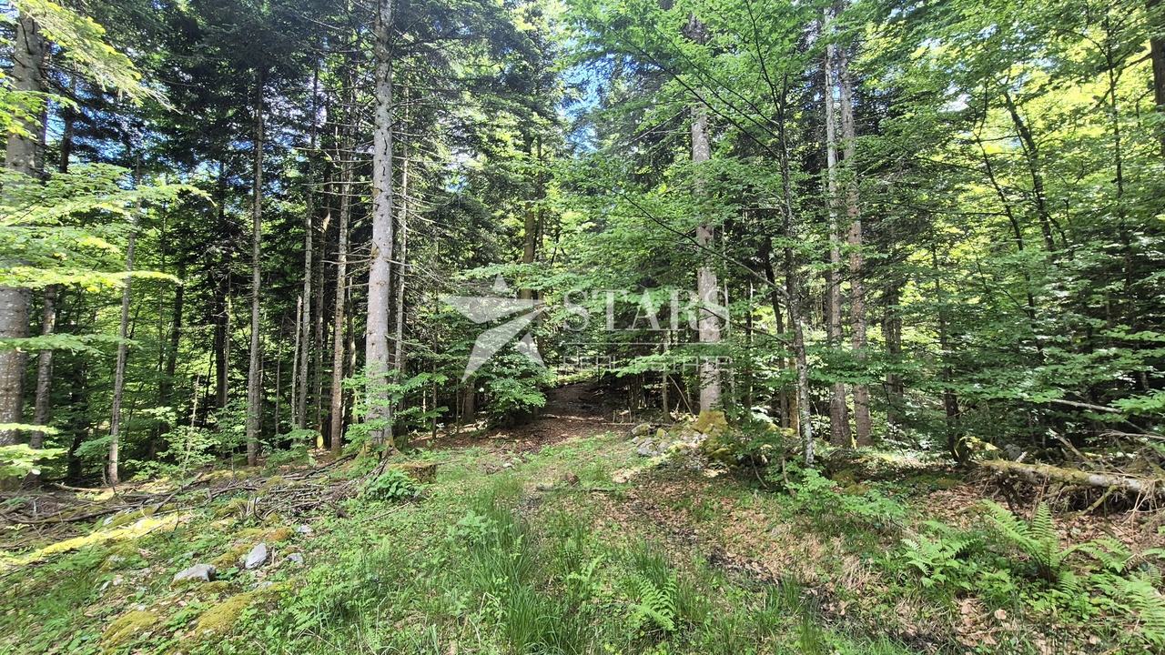 Grundstück u Vrbovsku, 31176m², slika 5