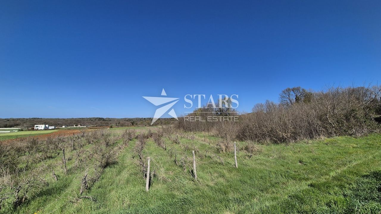 Zemljište u Barbanu, 7138m²