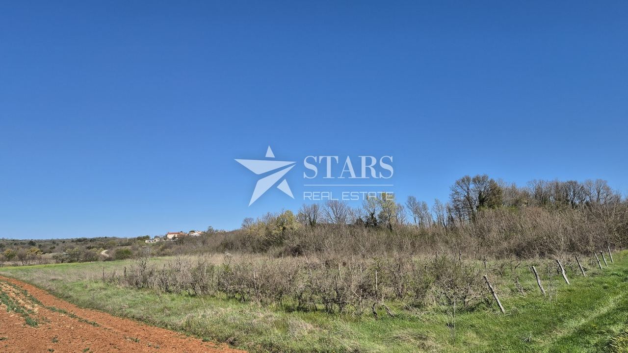 Zemljište u Barbanu, 7138m², slika 2