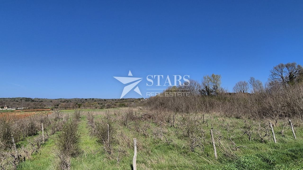 Zemljište u Barbanu, 7138m², slika 4
