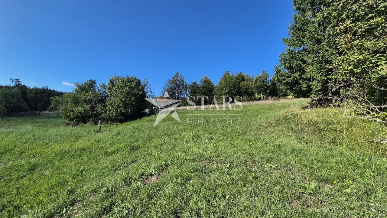Terreno u Ravna Gori, 2008m², slika 3