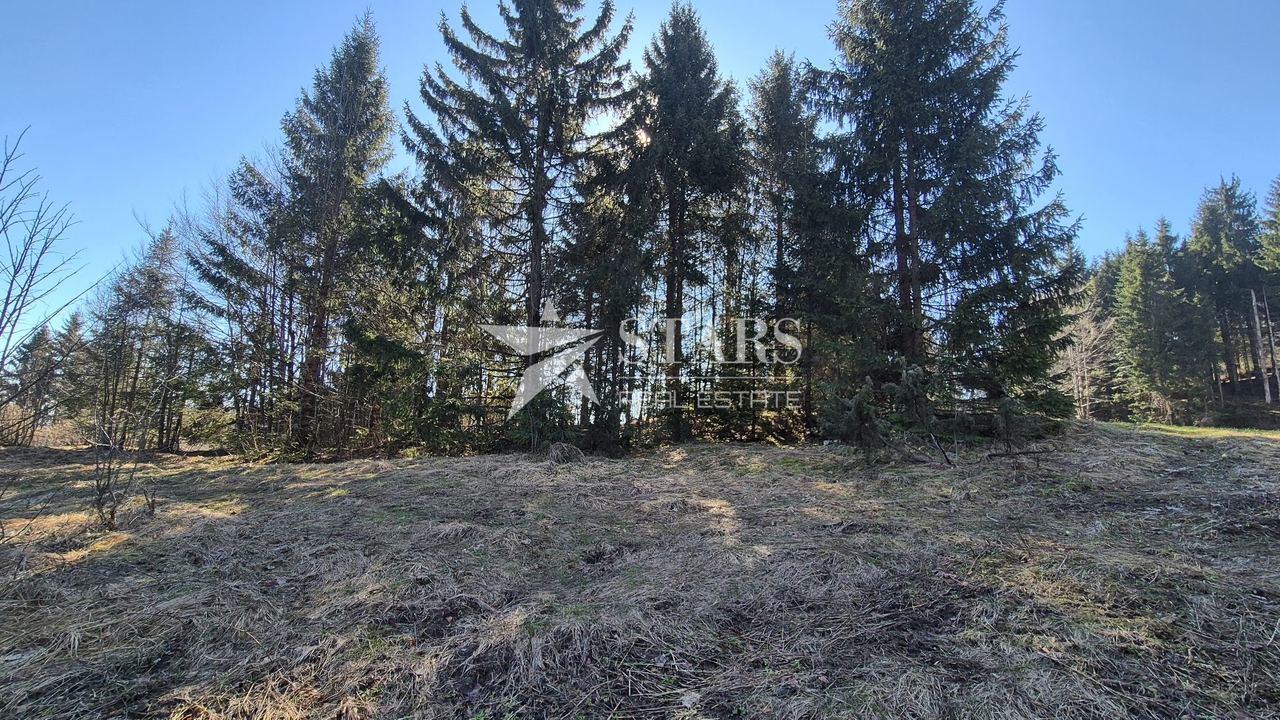 Grundstück u Ravna Gori, 767m²