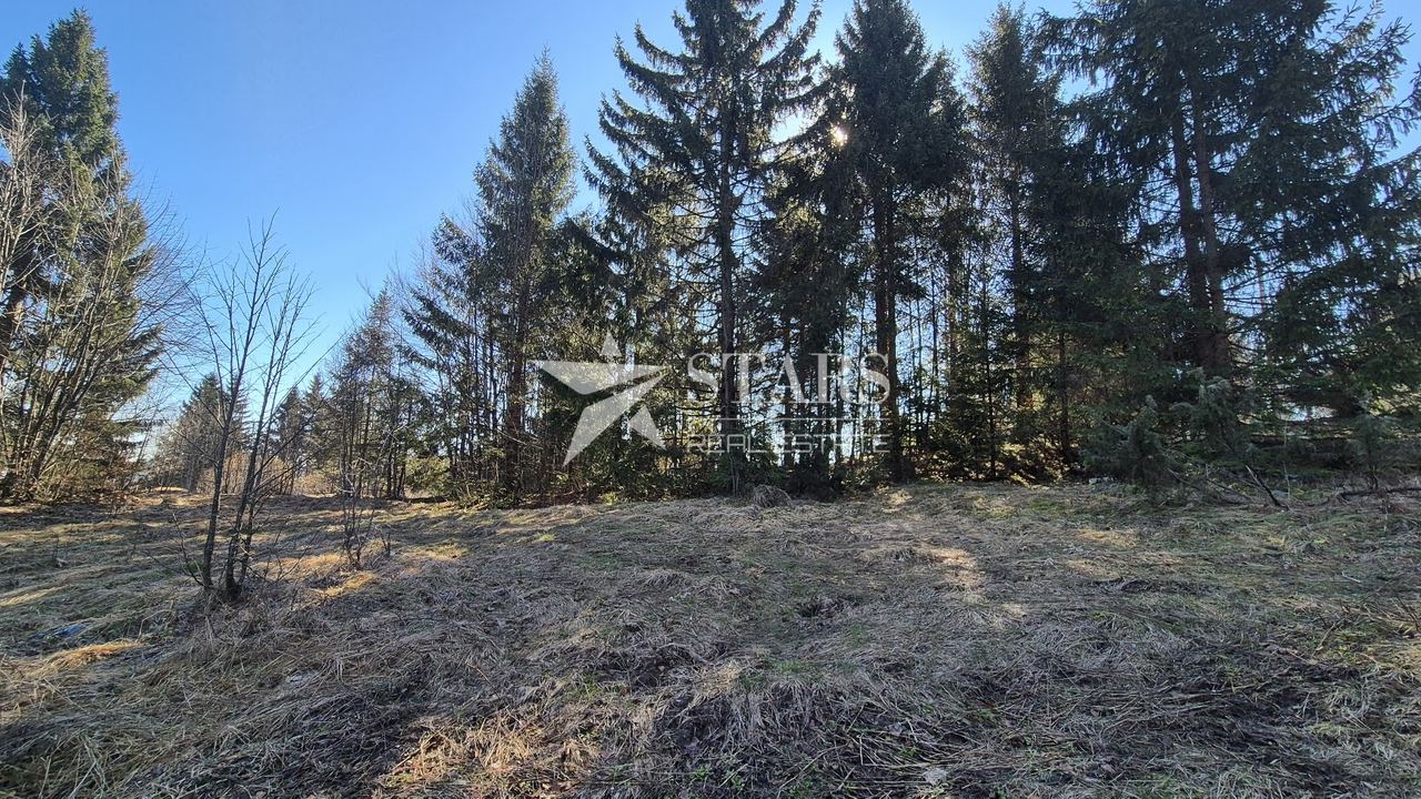 Grundstück u Ravna Gori, 767m², slika 2