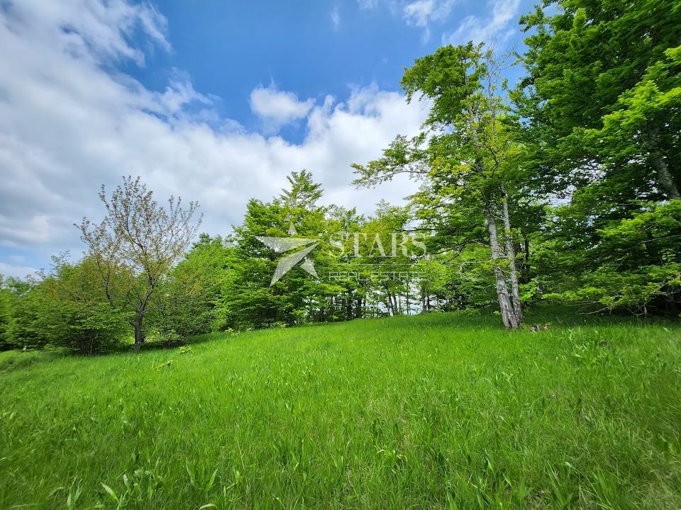 Terreno u Ravna Gori, 2614m²