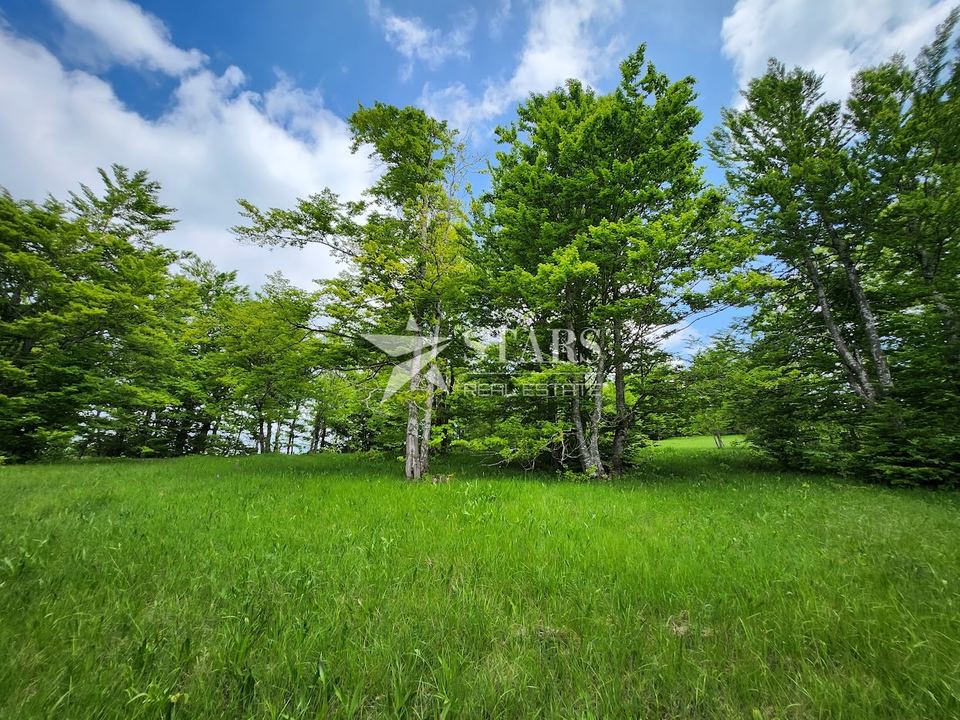 Grundstück u Ravna Gori, 2614m², slika 2