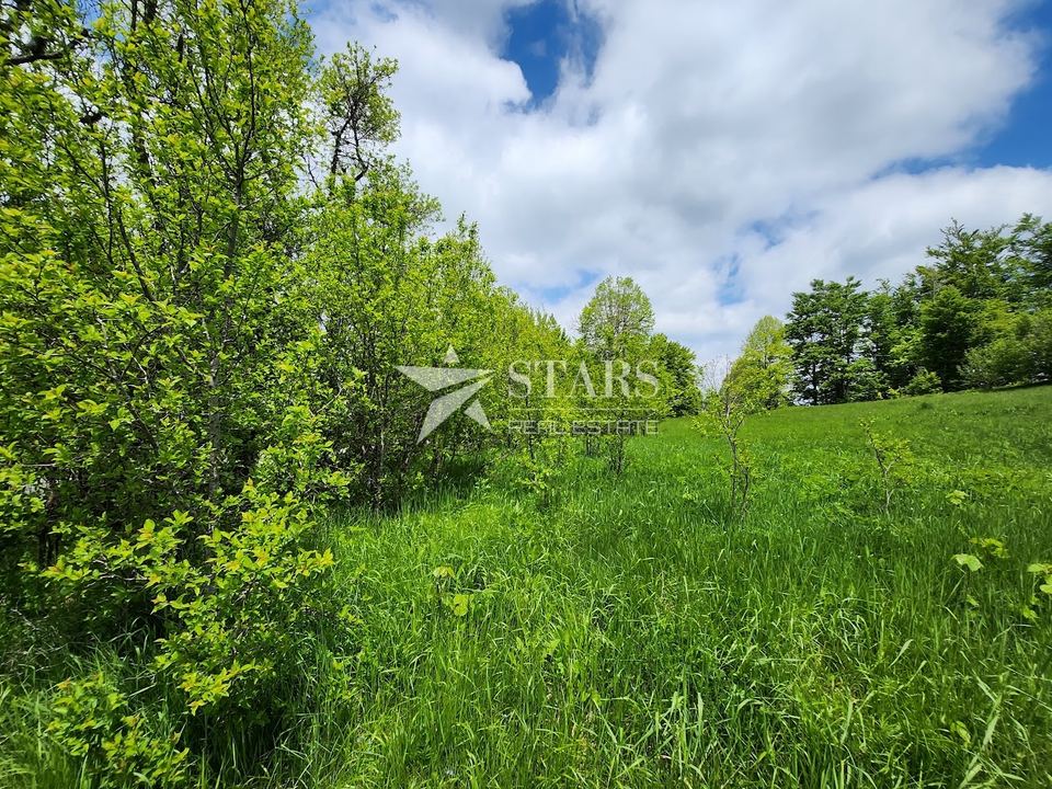 Grundstück u Ravna Gori, 2614m², slika 5