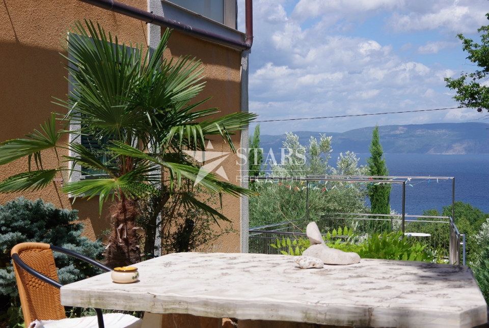 House u Labinu, 450m², 13 soba, slika 2