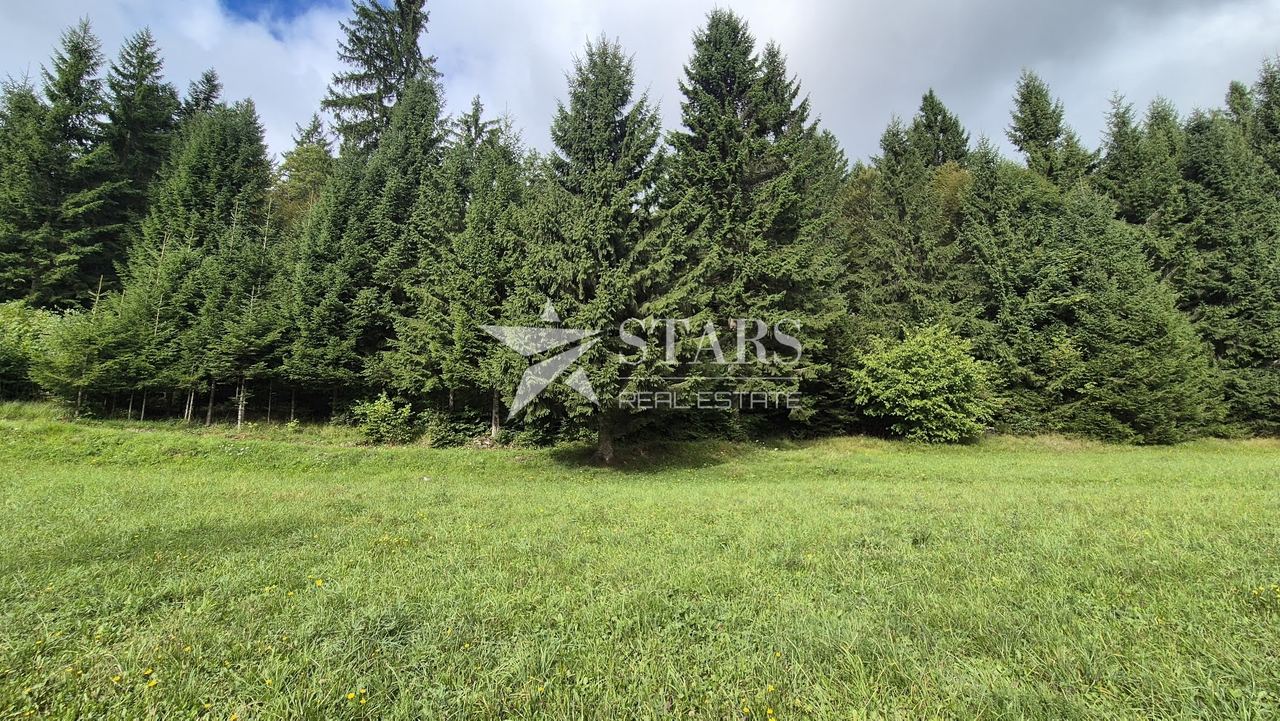 Terreno u Čabaru, 1000m², slika 2