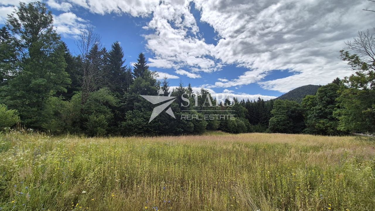 Zemljište u Delnicama, 2436m²