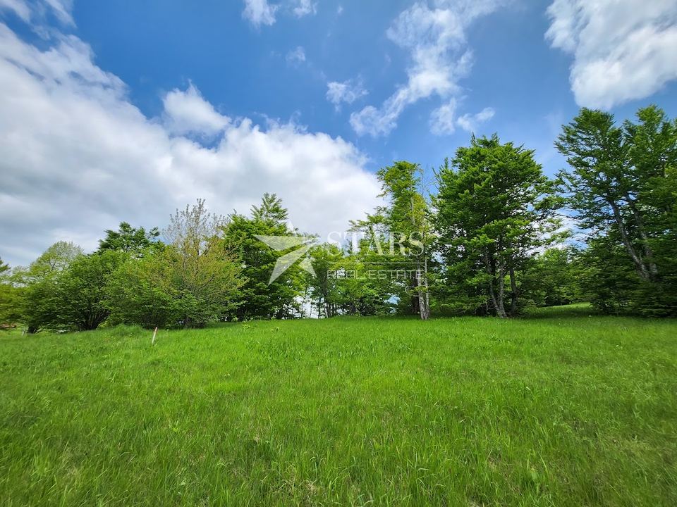Land u Ravna Gori, 3309m², slika 2