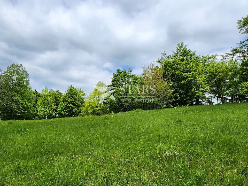Land u Ravna Gori, 3309m², slika 5