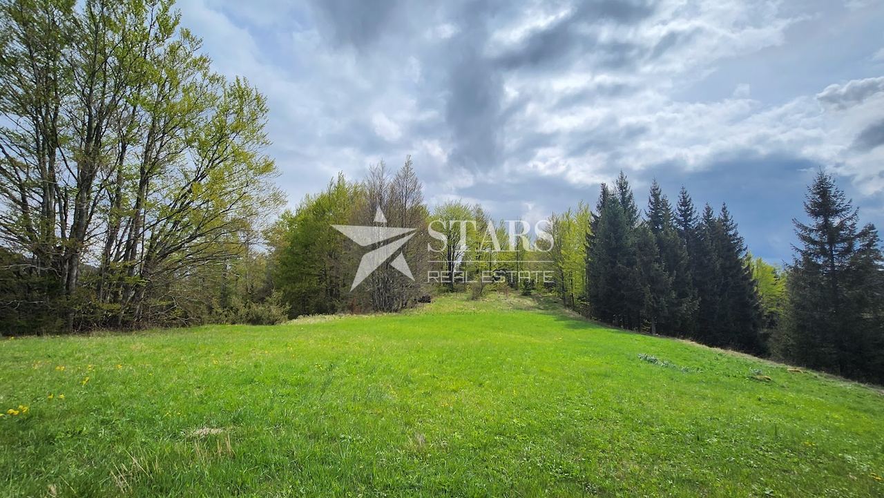 Zemljište u Ravna Gori, 2825m², slika 4