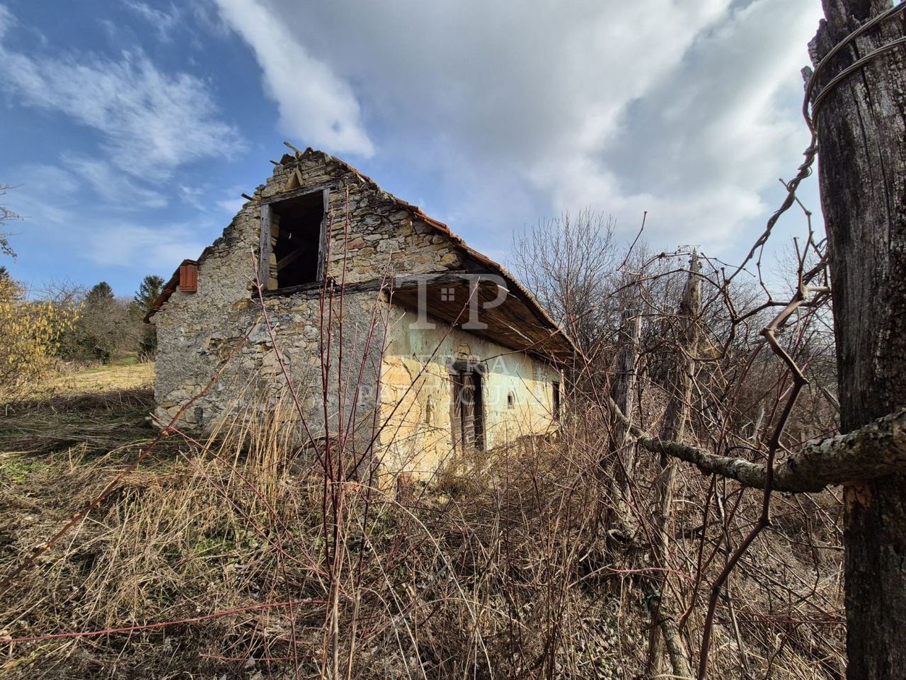 Land u Pregradi, 13337m²