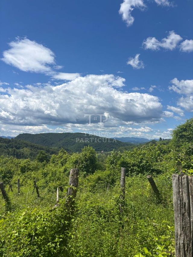 Terreno u Pregradi, 13337m², slika 2
