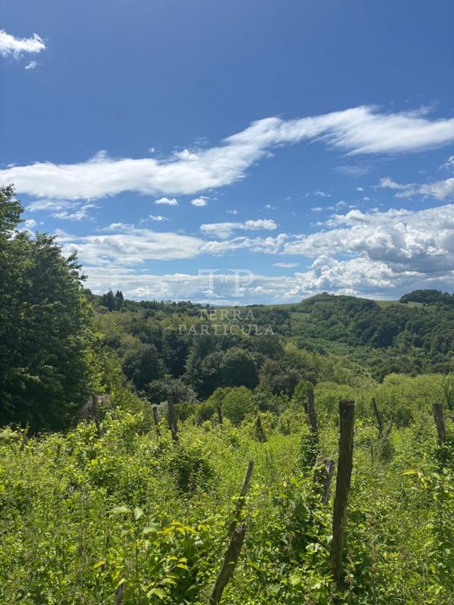 Terreno u Pregradi, 13337m², slika 3