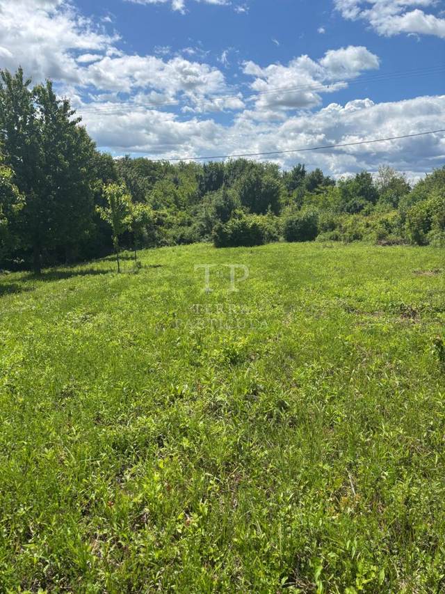 Grundstück u Pregradi, 6300m², slika 4