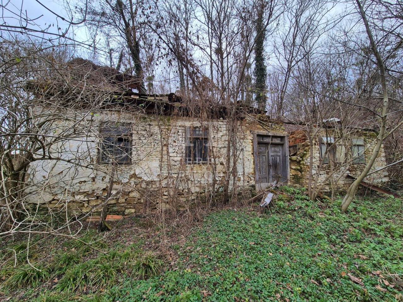Land u Petrovsku, 6219m²