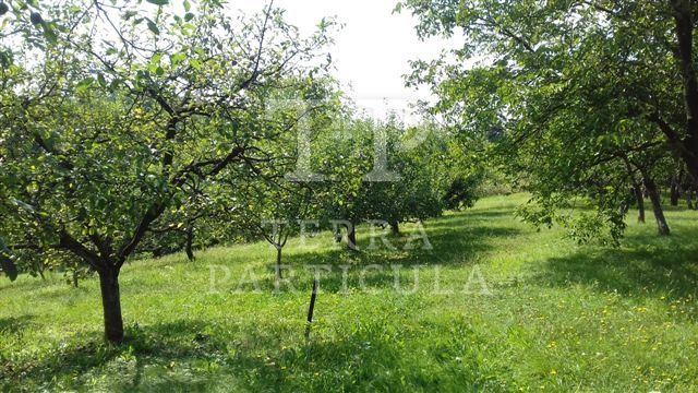 Zemljište u Oroslavju, 4950m²