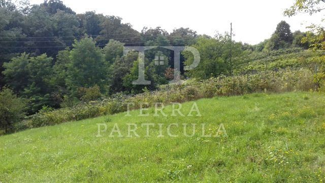 Terreno u Oroslavju, 4950m², slika 2