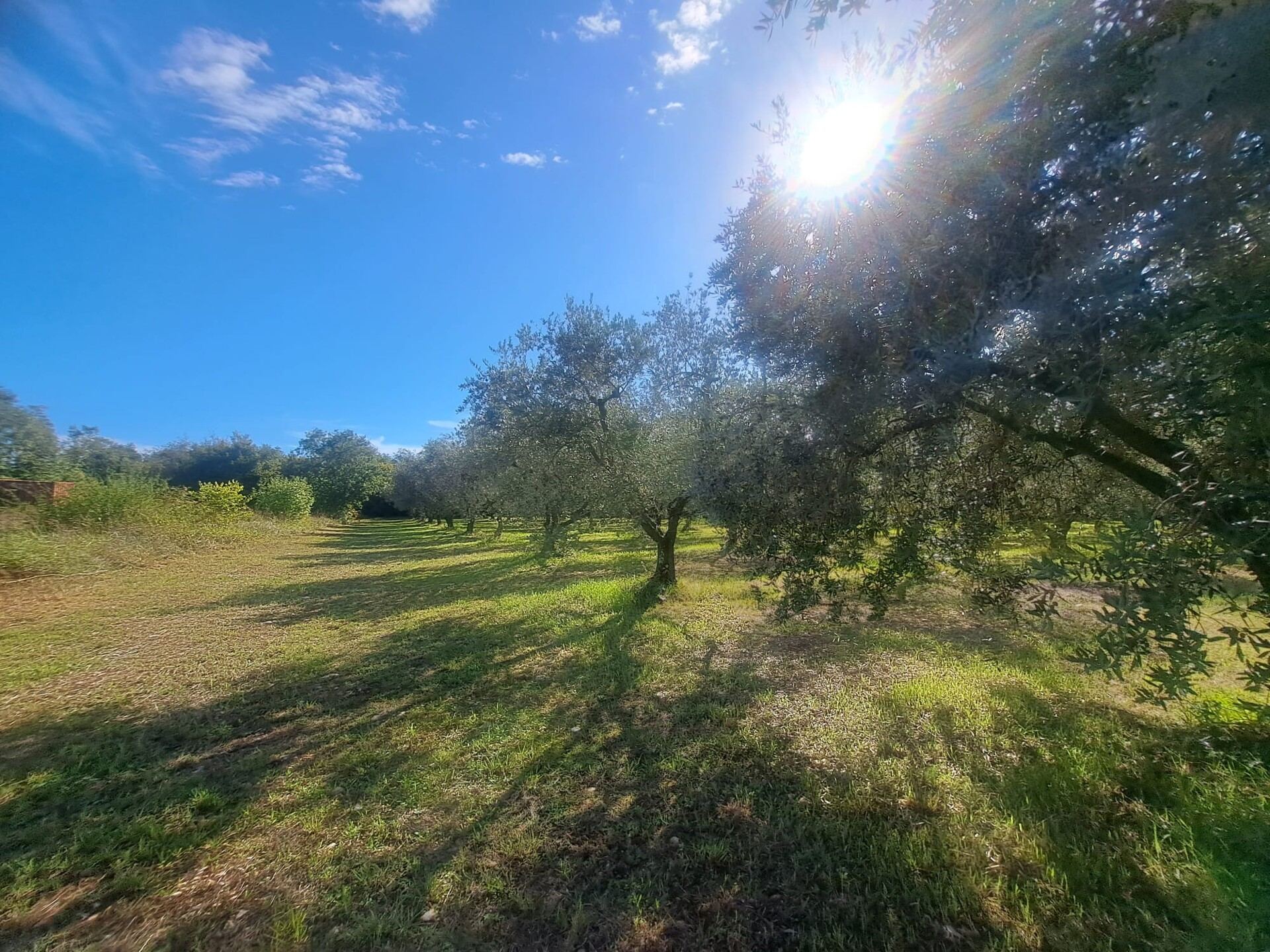 Terreno u Tar-Vabrizi, 5085m², slika 2