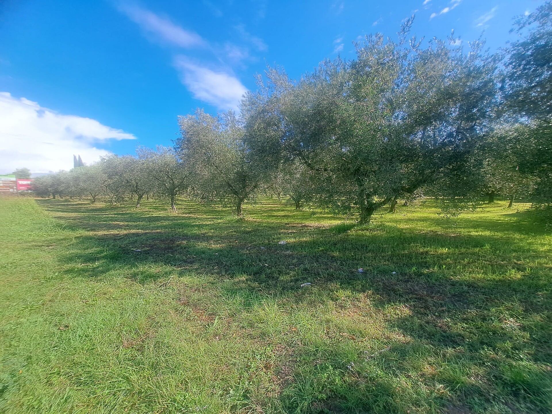 Terreno u Tar-Vabrizi, 5085m², slika 3
