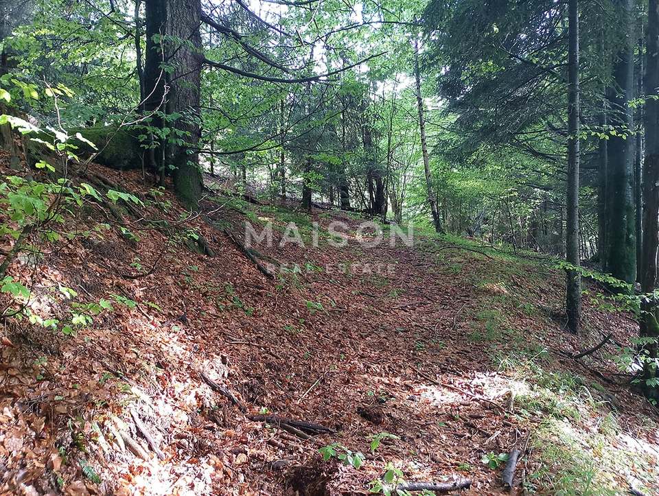Terreno u Delnicama, 16086m², slika 5