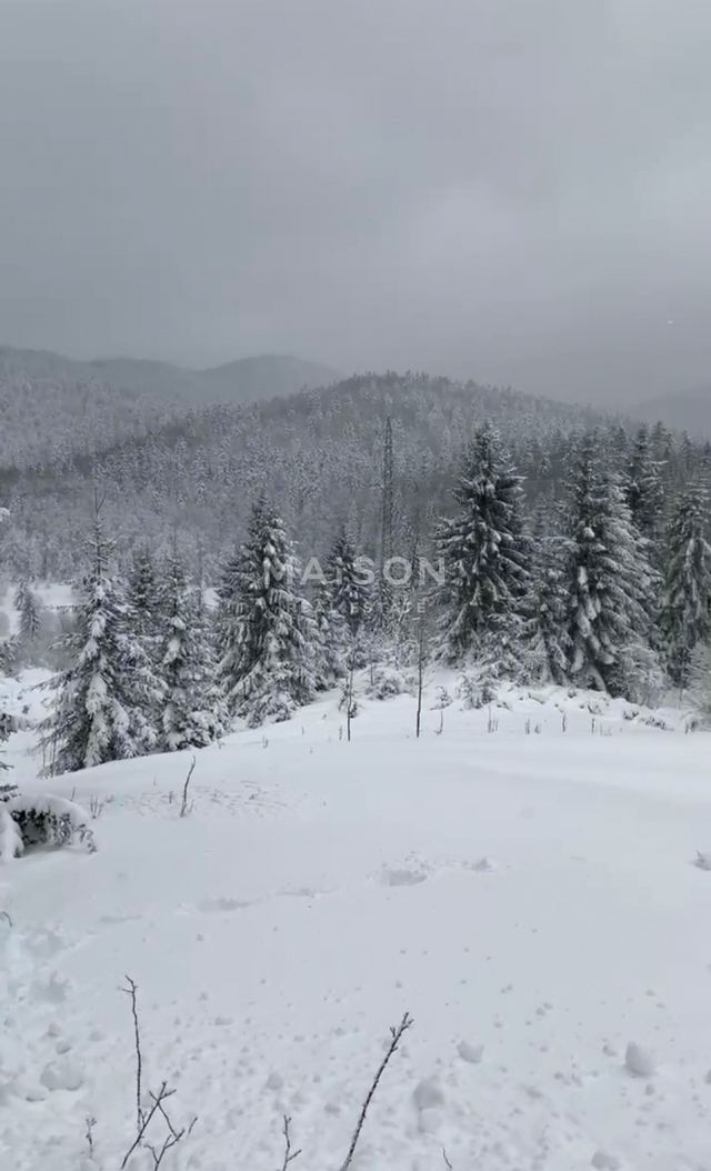 Land u Ravna Gori, 2537m², slika 3