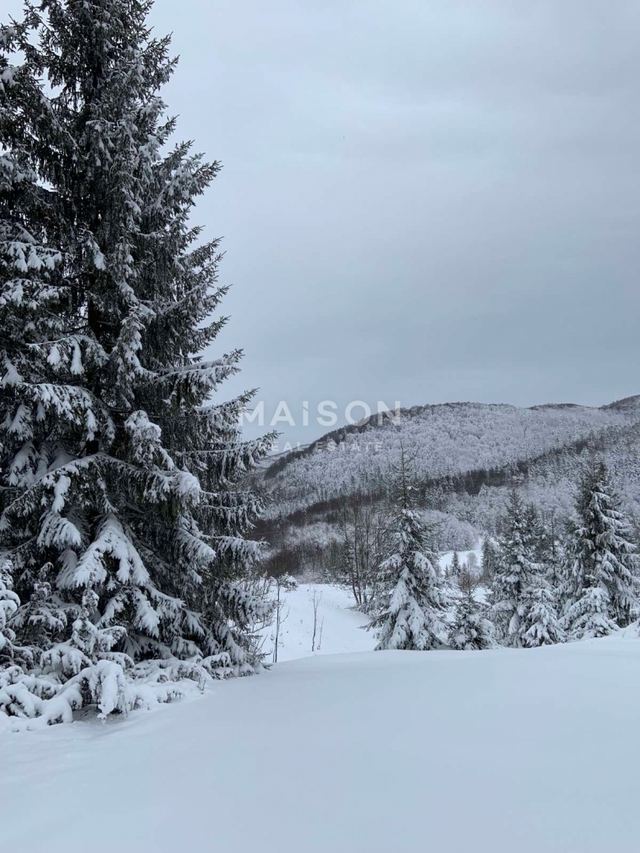 Land u Ravna Gori, 2537m², slika 4