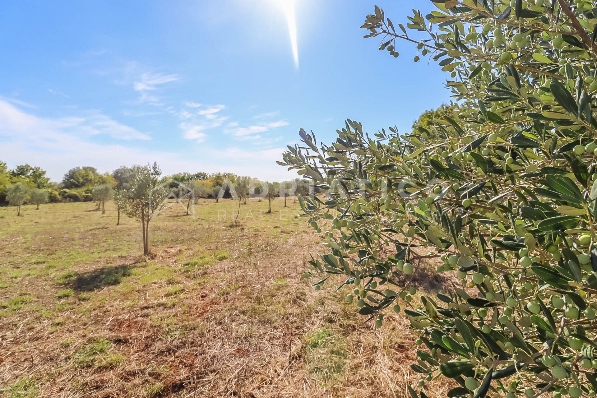 Terreno u Vodnjanu, 5201m²