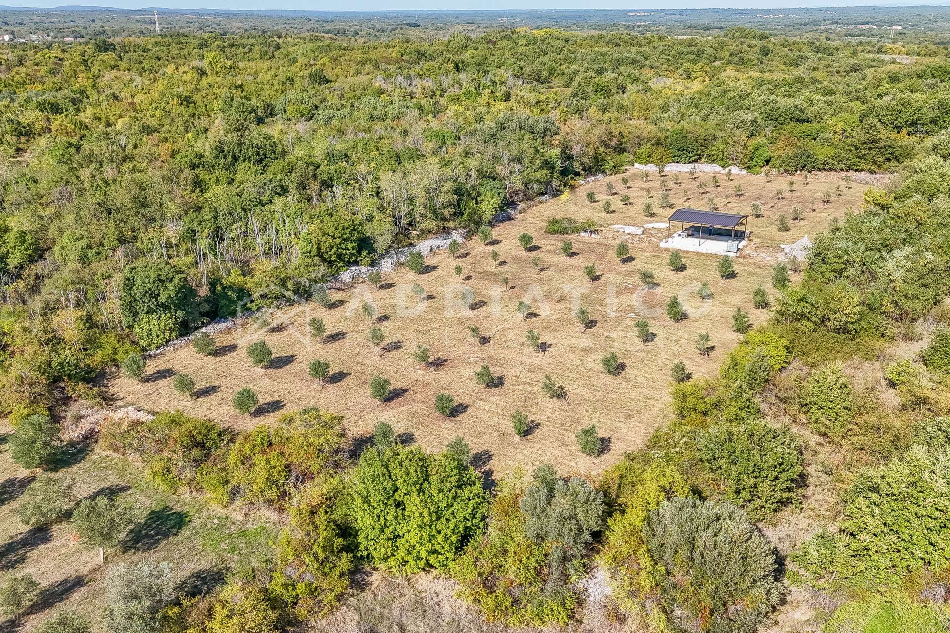 Terreno u Vodnjanu, 5201m², slika 3