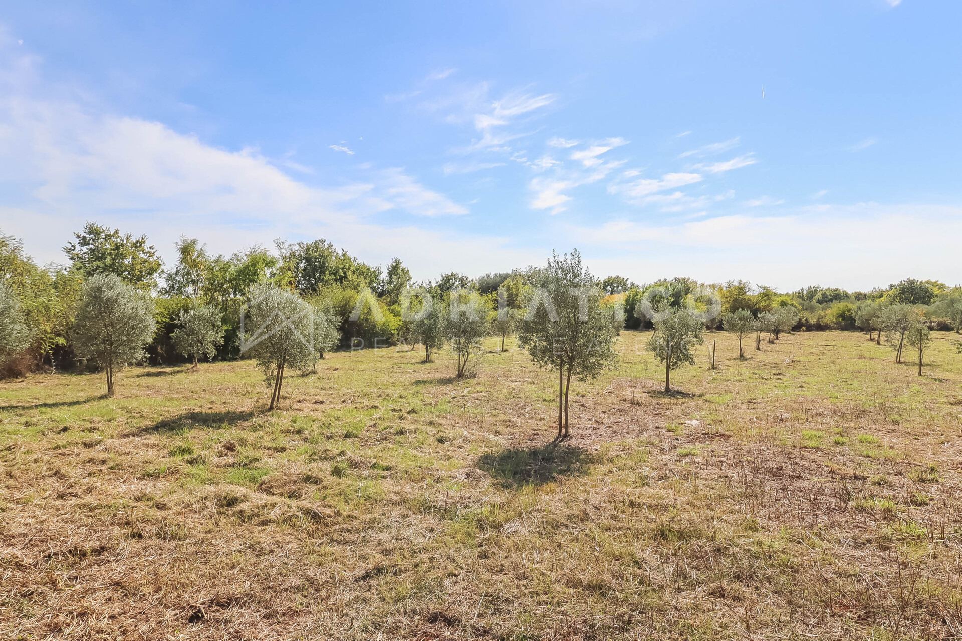 Terreno u Vodnjanu, 5201m², slika 5