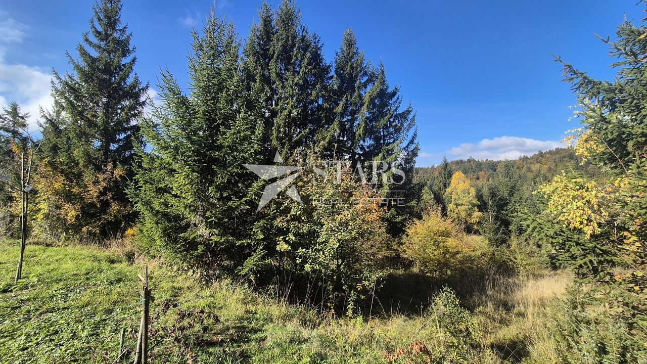 Grundstück u Lokvama, 1079m², slika 2
