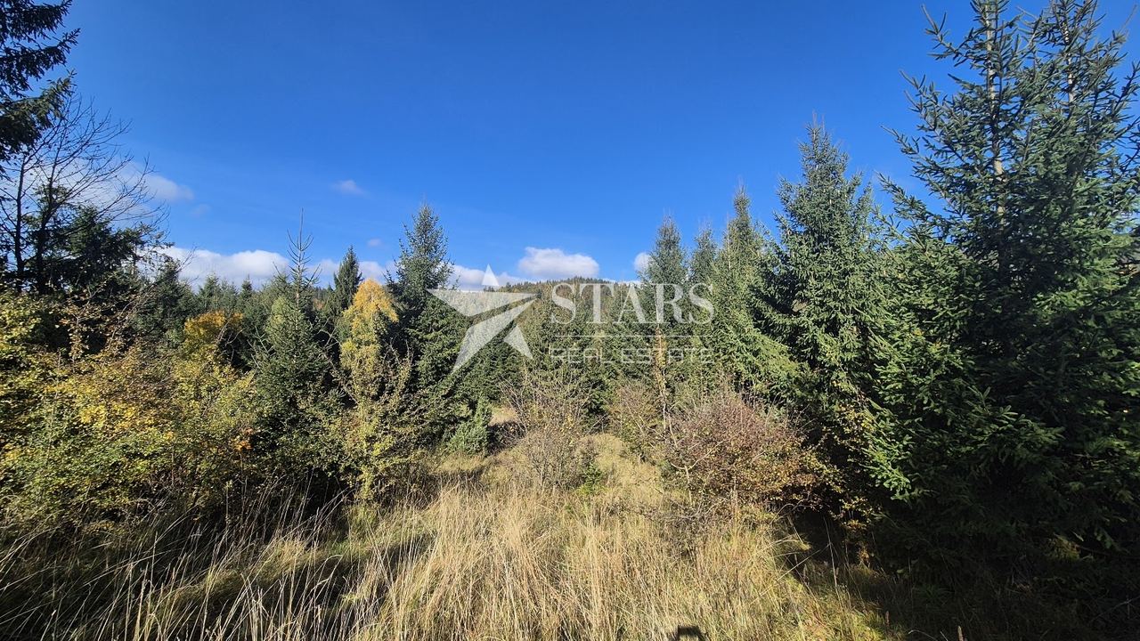 Grundstück u Lokvama, 1079m², slika 4
