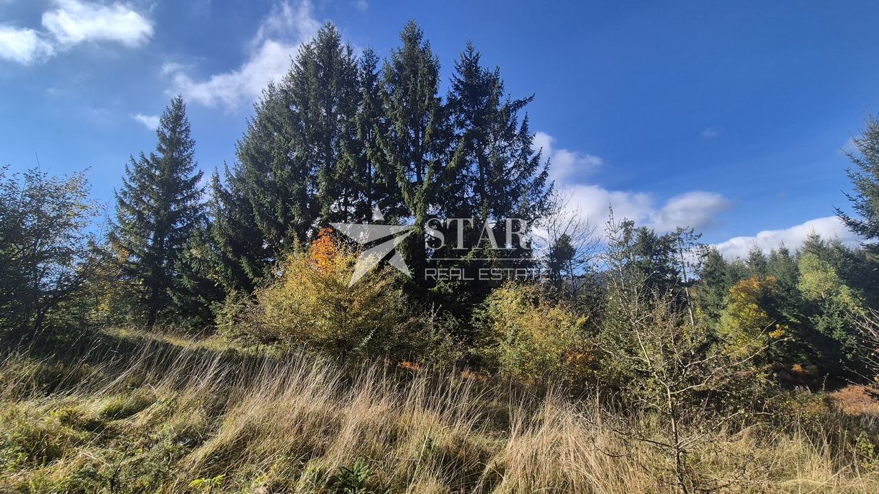 Grundstück u Lokvama, 1079m², slika 5