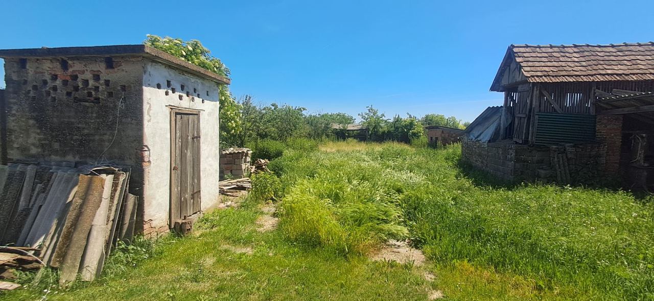 Kuća u Markušici, 1000m², 2 sobe, slika 4