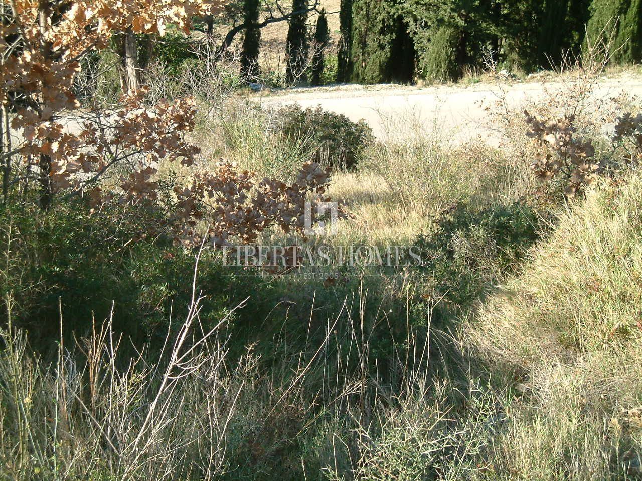 Terreno u Župa dubrovačkoj, 1981m², slika 4