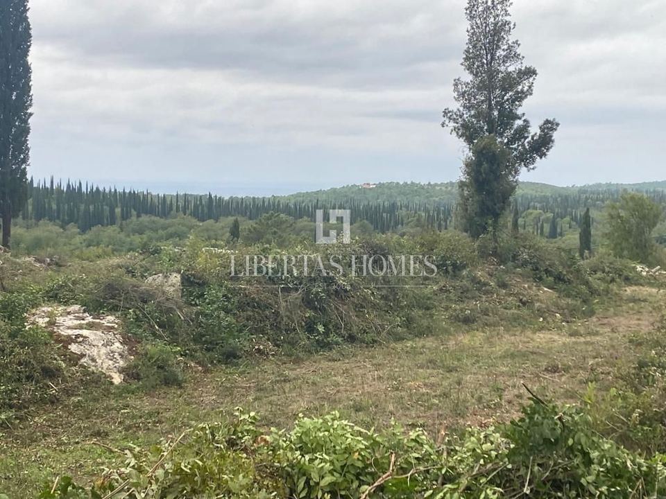 Zemljište u Konavlama, 3200m², slika 2