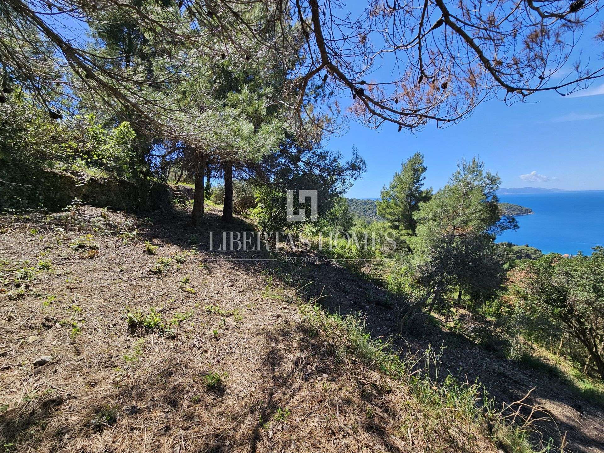 Grundstück u Dubrovniku, 16832m², slika 5